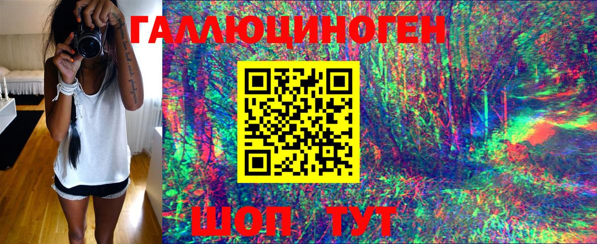 Назарово  Псилоцибиновые грибы Psilocybe  Вход с VPN 