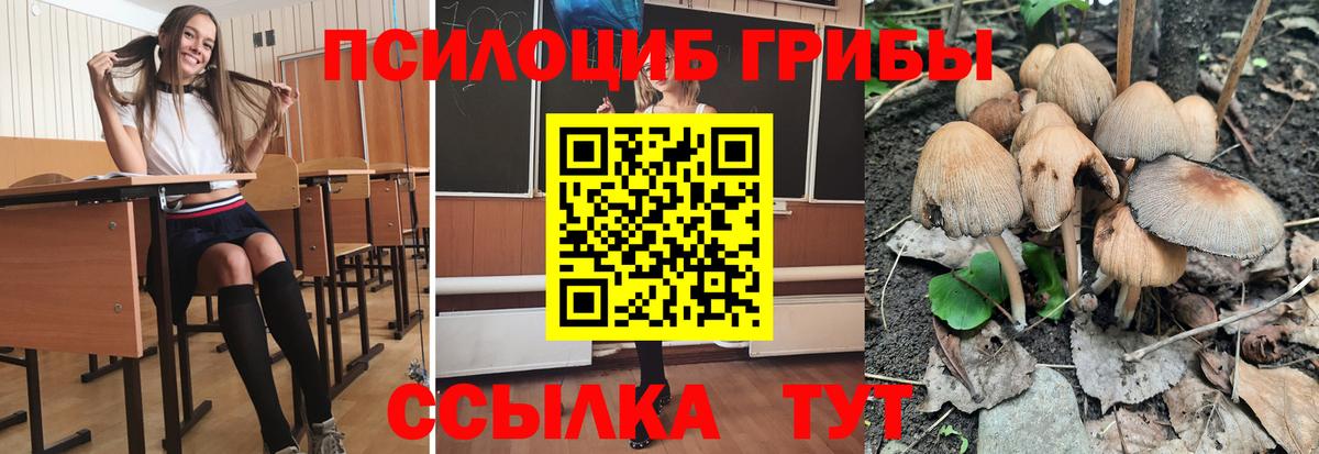 Галлюциногенные грибы мицелий Назарово